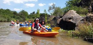 WhatsApp Image 2022-09-20 at 16.58.33